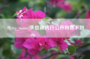 南城失信被执行公开网查不到