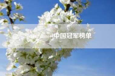 南城中国冠军榜单