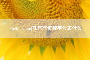南城九宫宫位数字代表什么