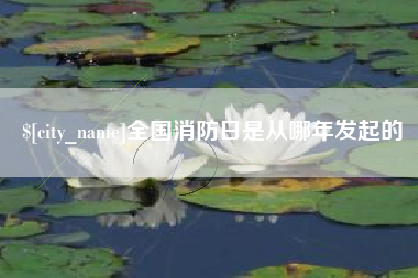南城全国消防日是从哪年发起的