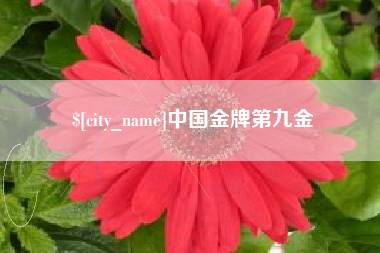 南城中国金牌第九金