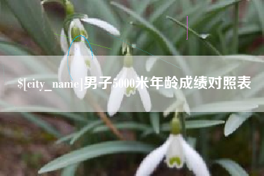 南城男子5000米年龄成绩对照表