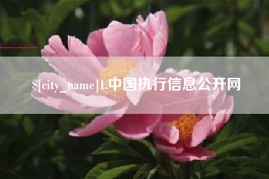 南城1.中国执行信息公开网