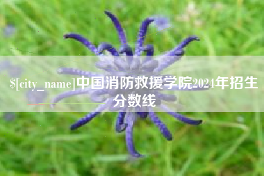南城中国消防救援学院2024年招生分数线
