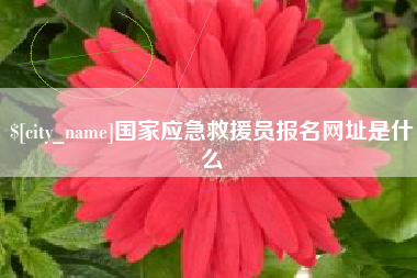 南城国家应急救援员报名网址是什么