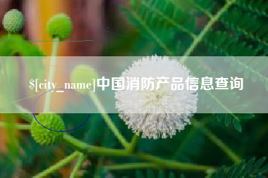 南城中国消防产品信息查询