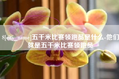 南城五千米比赛领跑员是什么-他们就是五千米比赛领跑员