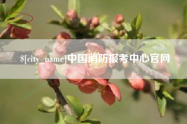 南城中国消防报考中心官网
