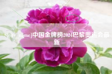 南城中国金牌榜2024巴黎奥运会最新