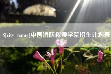 南城中国消防救援学院招生计划表