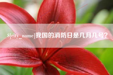 南城我国的消防日是几月几号？