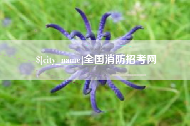 南城全国消防招考网