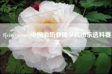 南城中国消防救援学院山东选科要求