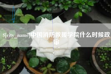 南城中国消防救援学院什么时候政审