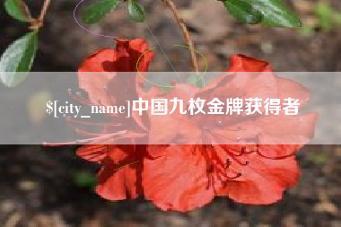 南城中国九枚金牌获得者