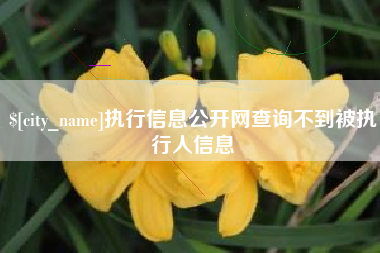 南城执行信息公开网查询不到被执行人信息