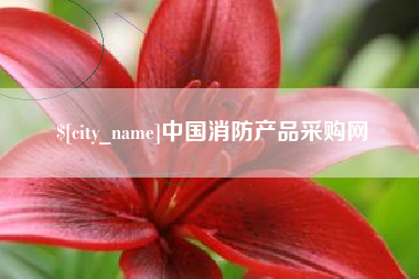 南城中国消防产品采购网