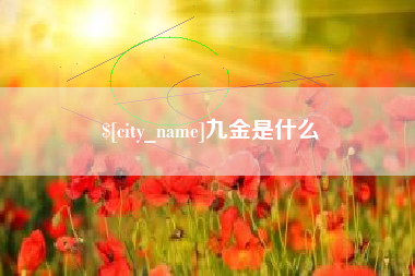 南城九金是什么