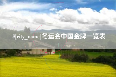 南城冬运会中国金牌一览表