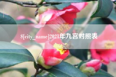 南城2021年九宫对照表
