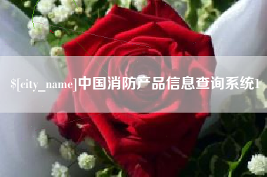 南城中国消防产品信息查询系统1