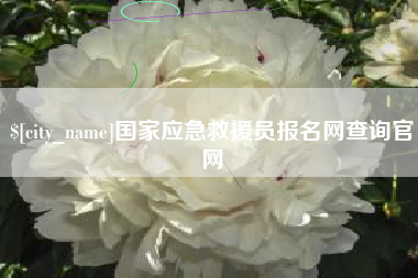 南城国家应急救援员报名网查询官网