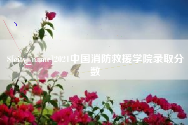 南城2021中国消防救援学院录取分数