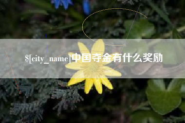 南城中国夺金有什么奖励