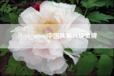 南城中国队第八块金牌