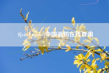 南城中国消防在线查询