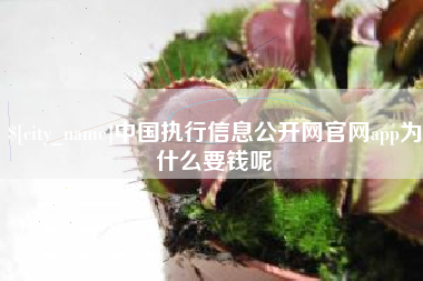 南城中国执行信息公开网官网app为什么要钱呢