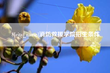 南城消防救援学院招生条件