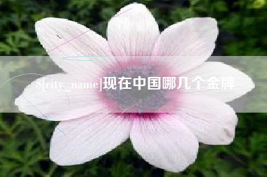 南城现在中国哪几个金牌