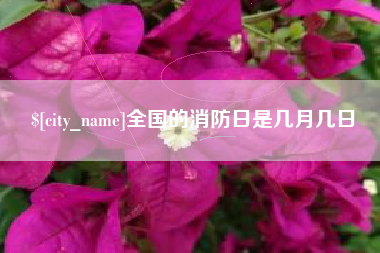 南城全国的消防日是几月几日
