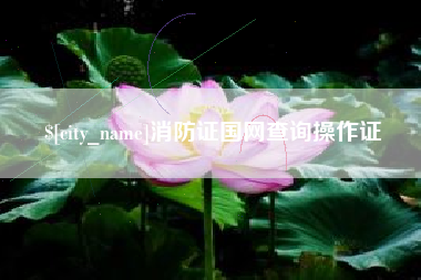 南城消防证国网查询操作证