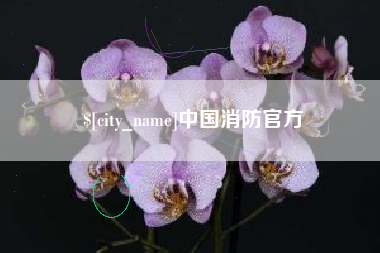 南城中国消防官方
