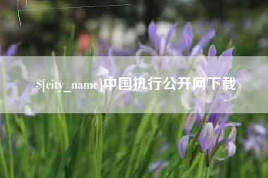 南城中国执行公开网下载