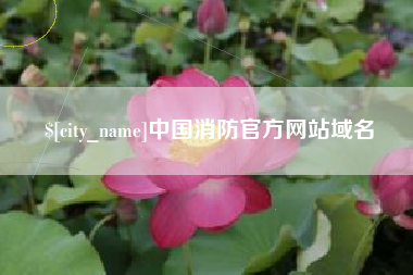 南城中国消防官方网站域名