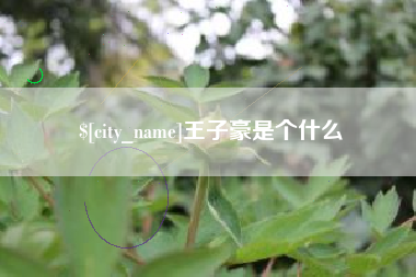 南城王子豪是个什么