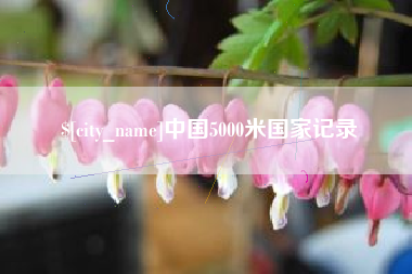 南城中国5000米国家记录
