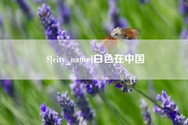 南城白色在中国