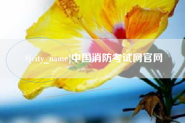 南城中国消防考试网官网