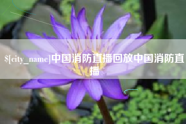 南城中国消防直播回放中国消防直播