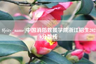 南城中国消防救援学院浙江招生2020分数线