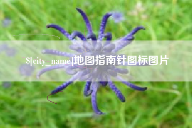 南城地图指南针图标图片