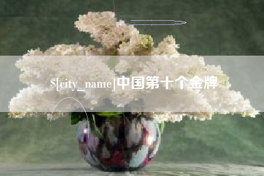 南城中国第十个金牌