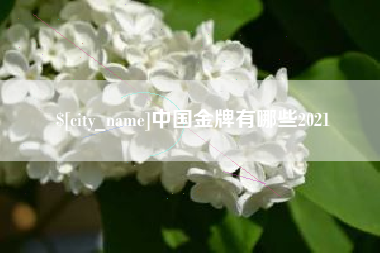 南城中国金牌有哪些2021