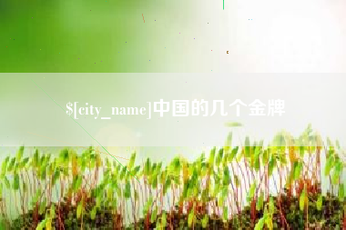 南城中国的几个金牌