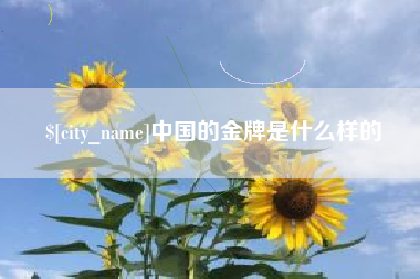 南城中国的金牌是什么样的