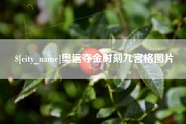 南城奥运夺金时刻九宫格图片